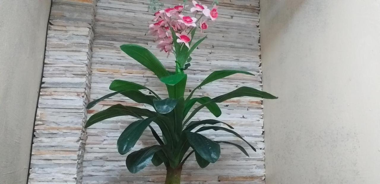 Cobertura Climatizada, No Litoral Apartamento *